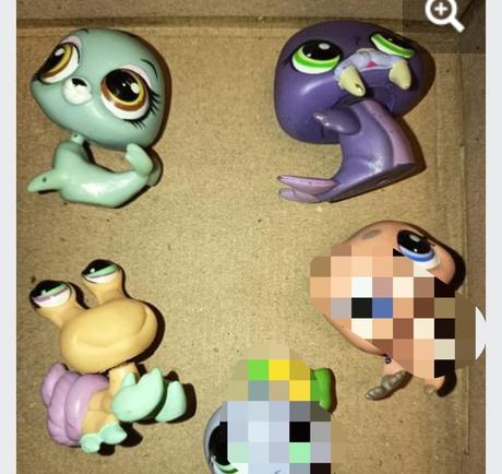 Lps mroz, tuleň, vodné zvieratá,