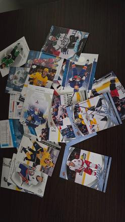 Hokejové kartičky nhl,