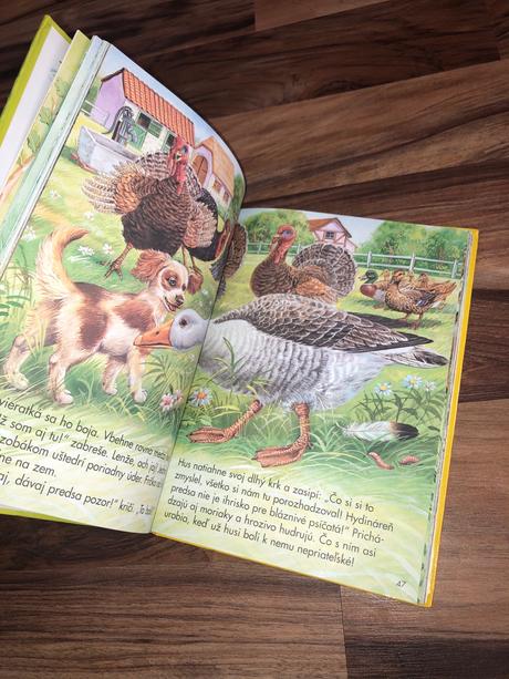 Túlavé šteniatko, 