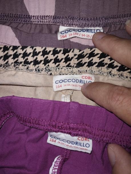 Leginy, coccodrillo,164