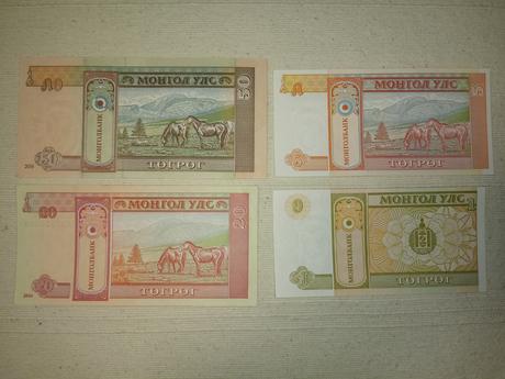 Bankovky mongolsko,
