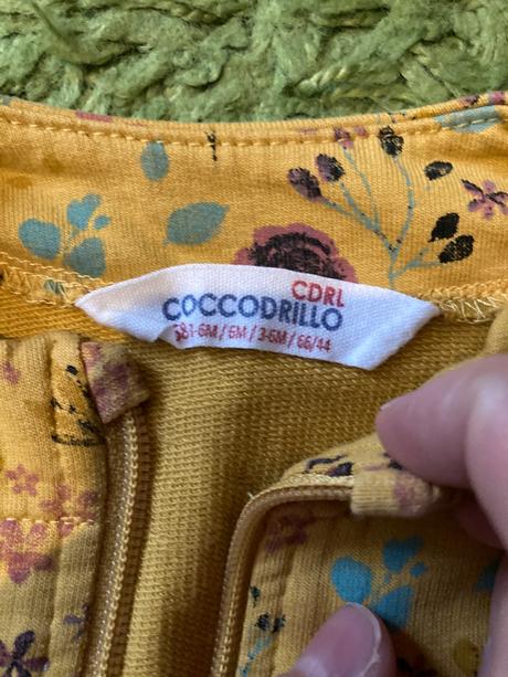 Coccodrillo súprava, coccodrillo,74