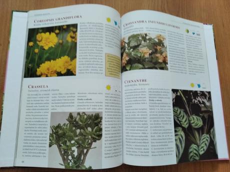 Kniha o rastlinách, 