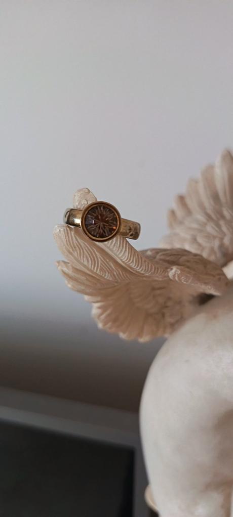 Dyrberg/kern prsten s hnedym kamenom, 