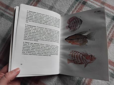 Különös állatok, 