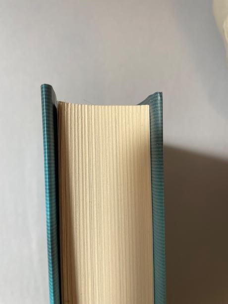 Kniha mesto camilla sten,