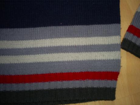 Pulovrik, cactus clone,110