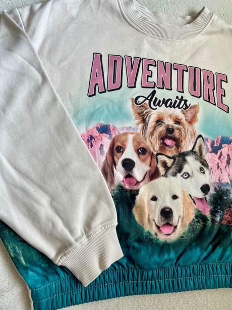 Mikina psy 134/140, h&m,134