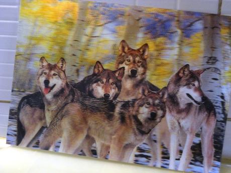 Pohyblivé obrazy 3d, 