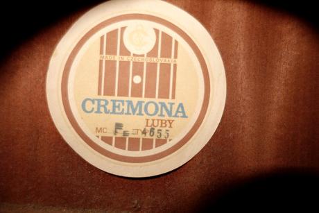 Darujem - utrhnutá kobylka, 