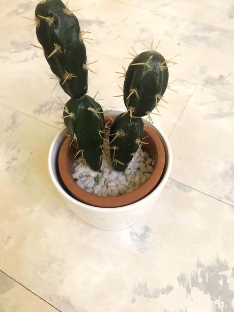 Kaktus v keramickom črepe,