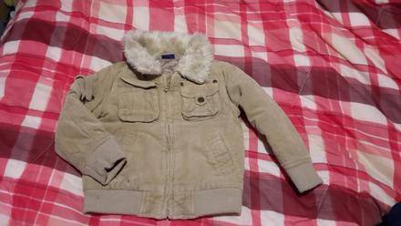 Bledohneda budnicka, cherokee,92