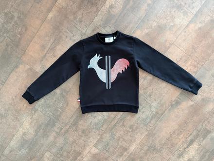 Mikina rossignol, 152