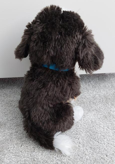 Štekajúci a chrápajúci psík, 