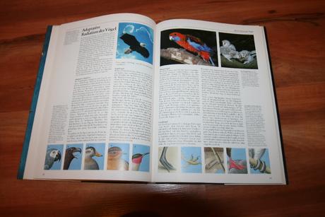 Séria kníh v nemčine natur und wissen,