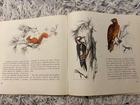 Vtáka poznáš po perí vlka po kožuchu alebo o zvier,