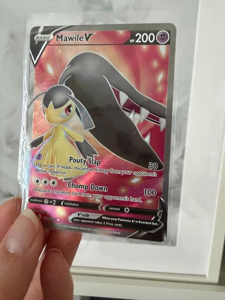 Pokemon elite trainer box, 