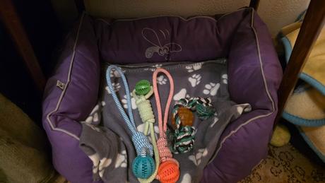 Pelech pre psa huhu bambo,