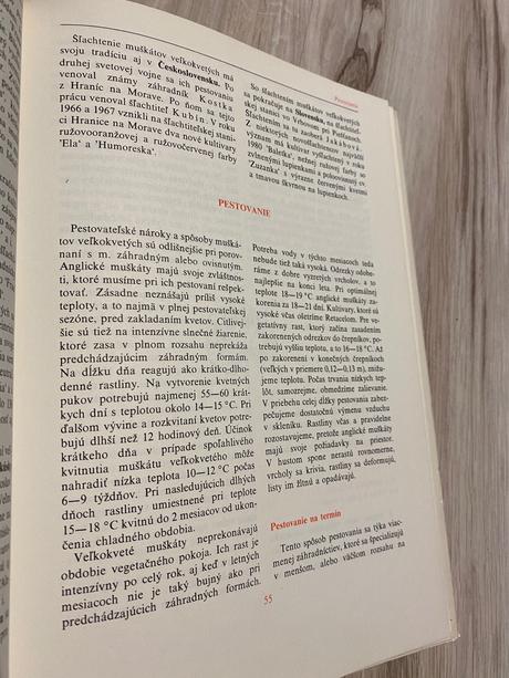 Retro super kniha muškáty,