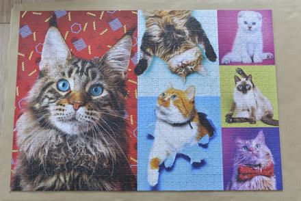 Puzzle mačky, 