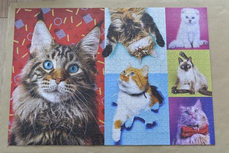 Puzzle mačky, 