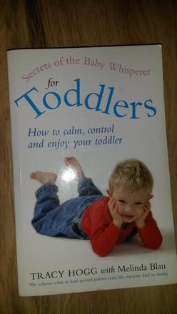 Baby whisperer for toddlers,
