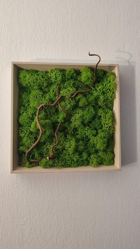 Machový obraz štvorec, 