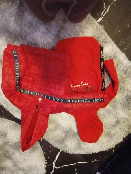 Thomy hilfiger &rebel, 104