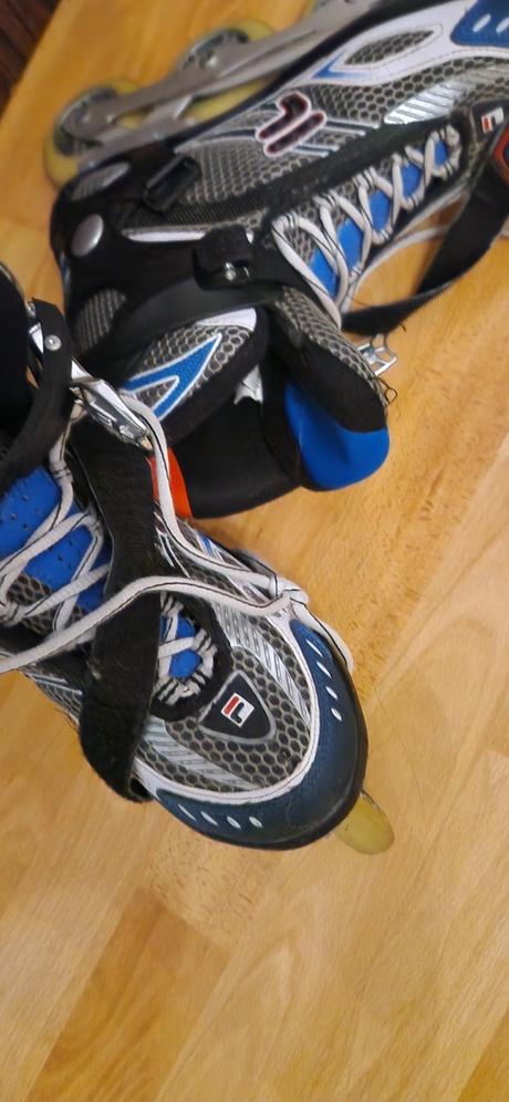 Fila korčule, fila,43