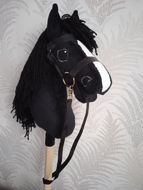 Hobby horse, 