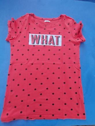 Triceno 158-164, 158