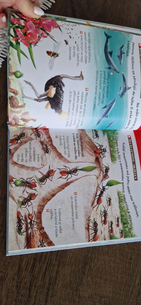 Príroda okolo nás, 