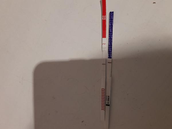 Je tam niečo vidieť?