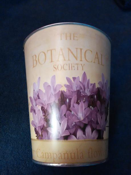 Črepník plechový, 