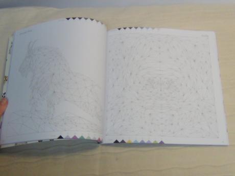 Trianimals colour me wild nea18, 