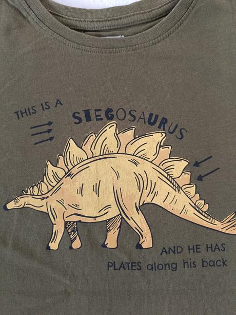 Olivové tričko so stegosaurom, fox & bunny,128