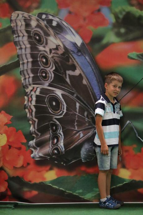 Tričko s krátkym rukávom 134/140, 140