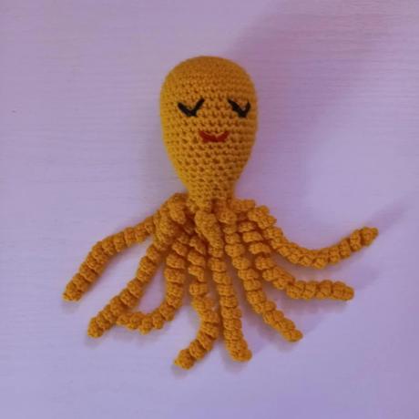 Háčkovaná chobotnička žltá, 