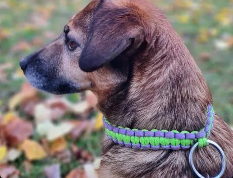 Paracordový obojok, náramok alebo prívesok,