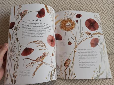 Helen aphornsiri - a year in the wild, 