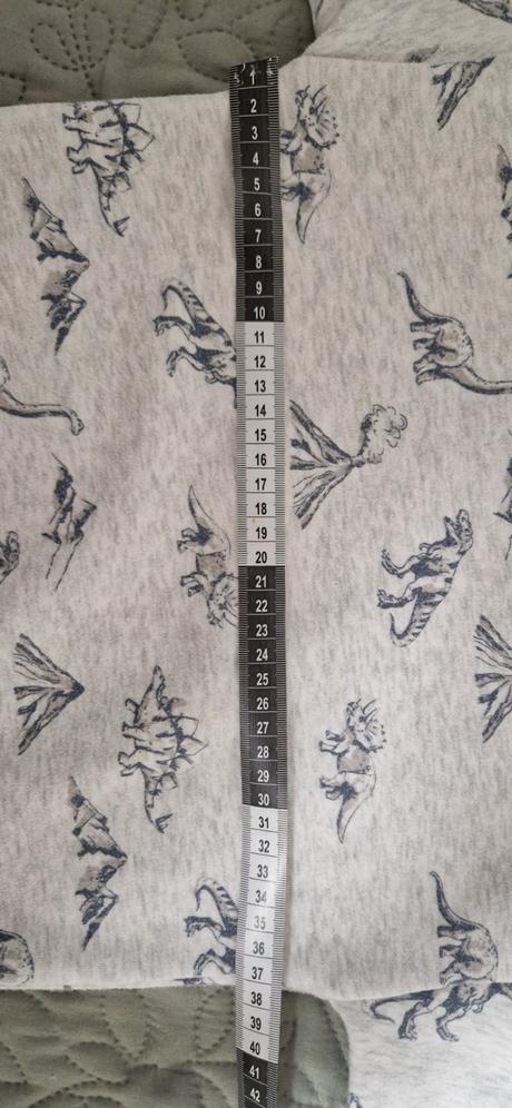 Mikina dino, f&f,116