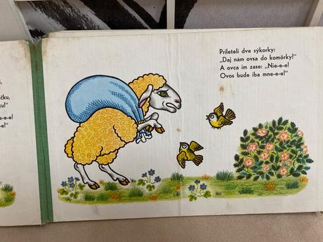 Kniha- skúpy macko, 