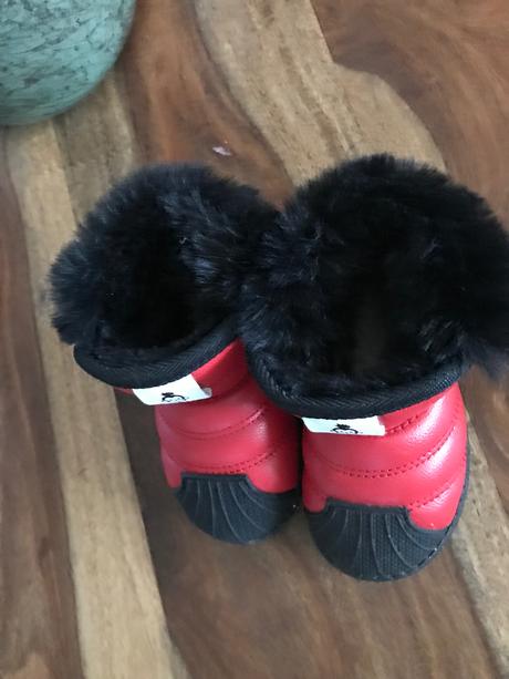 Zimne čižmičky, 22