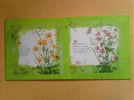 Obrázok rastlinková dvojka, 