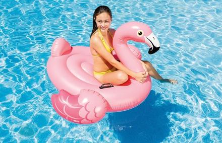 Vodné vozidlo plameniak 142x137x97cm,