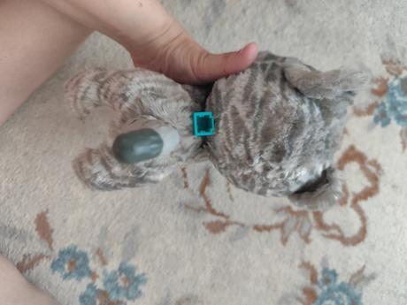 Furreal chodiace mačiatko s voditk,