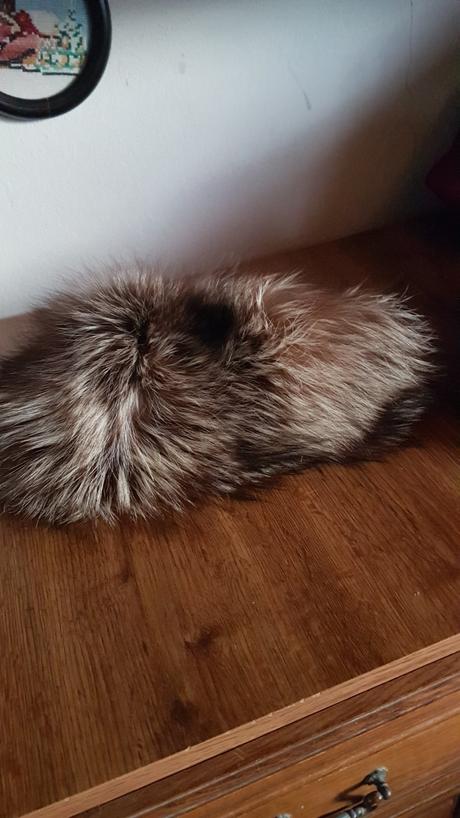 Ciapka takzv.lodicka z pravej kozus.striebor.lisky, xl