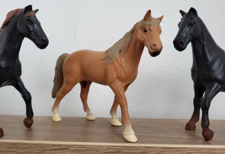 3x kôň - stredná veľkosť, 