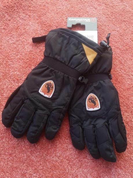 Dynastar pánske zimné rukavice veľkosť xl, xl