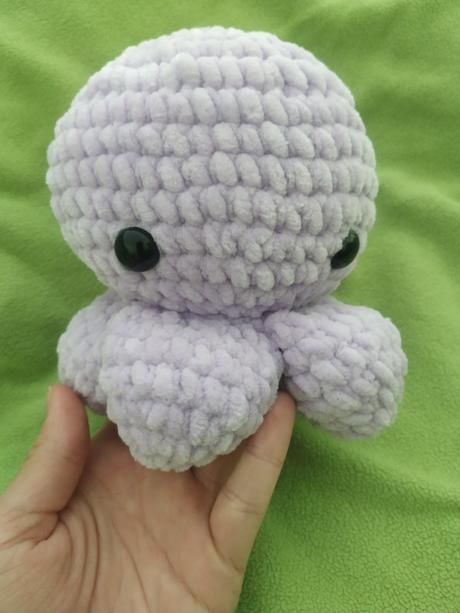 Veľká chobotnička, 